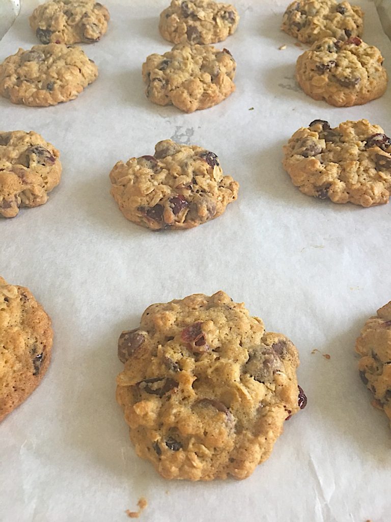 Oatmeal, Cranberry, Dark Chocolate Chip Cookies Chef Silvia